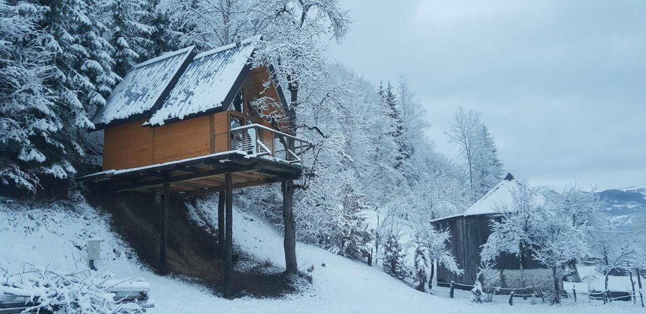 Tree House - Tara Place Mojkovac Exterior foto
