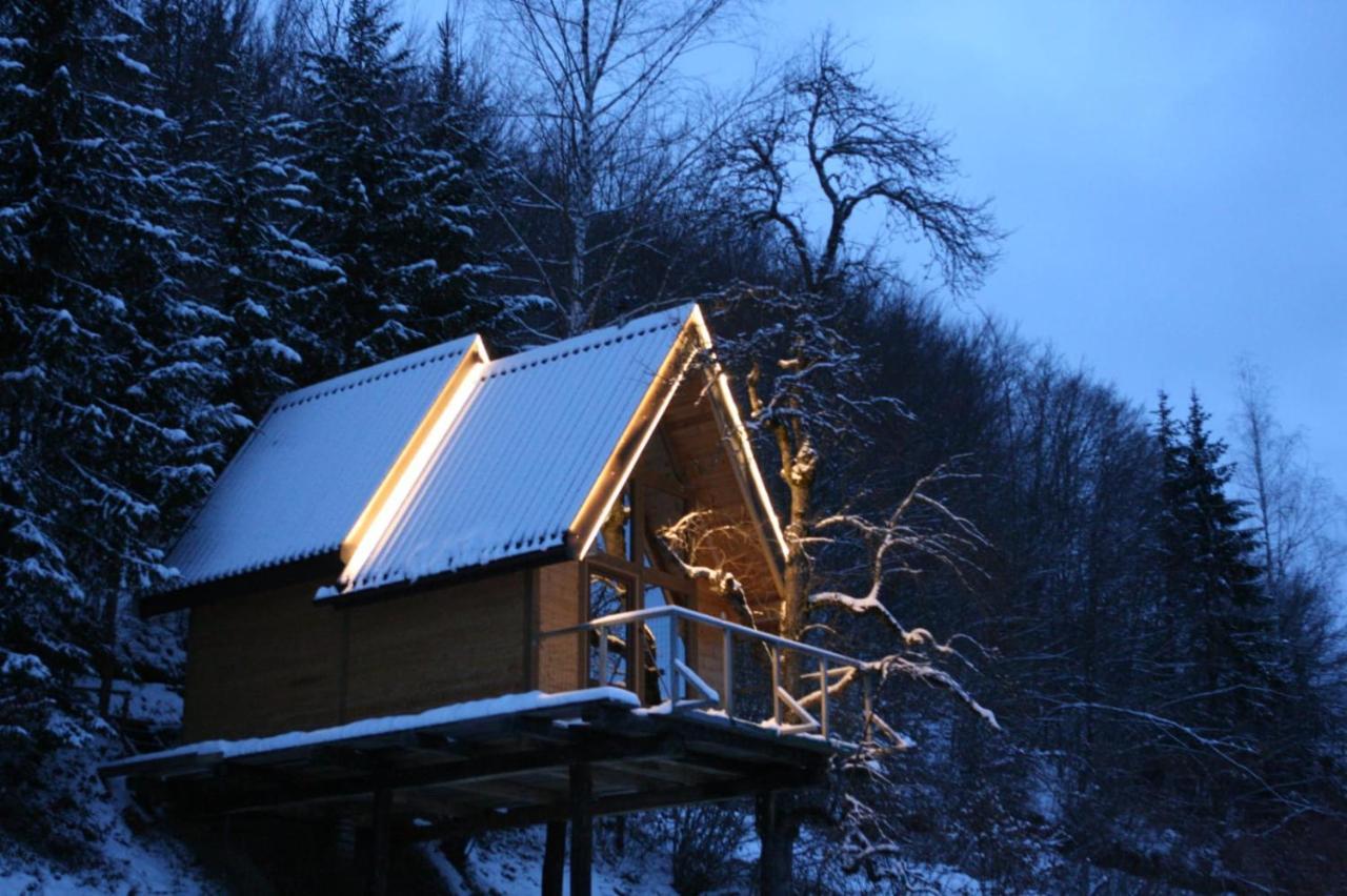 Tree House - Tara Place Mojkovac Exterior foto