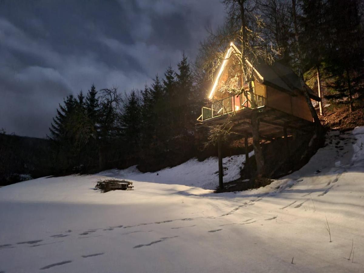Tree House - Tara Place Mojkovac Exterior foto