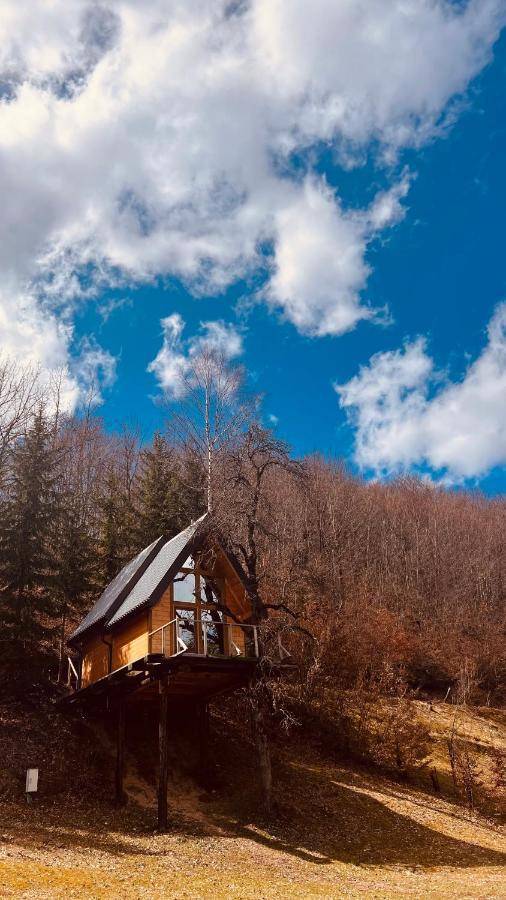 Tree House - Tara Place Mojkovac Exterior foto