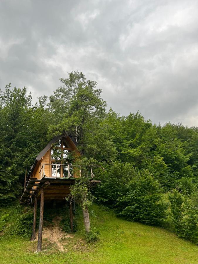 Tree House - Tara Place Mojkovac Exterior foto
