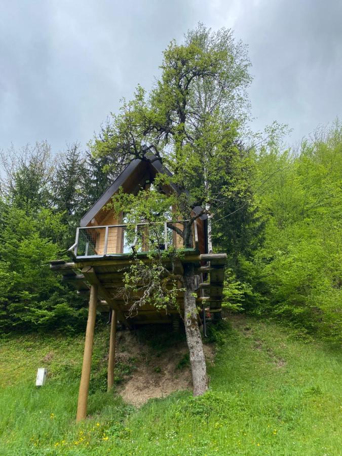 Tree House - Tara Place Mojkovac Exterior foto